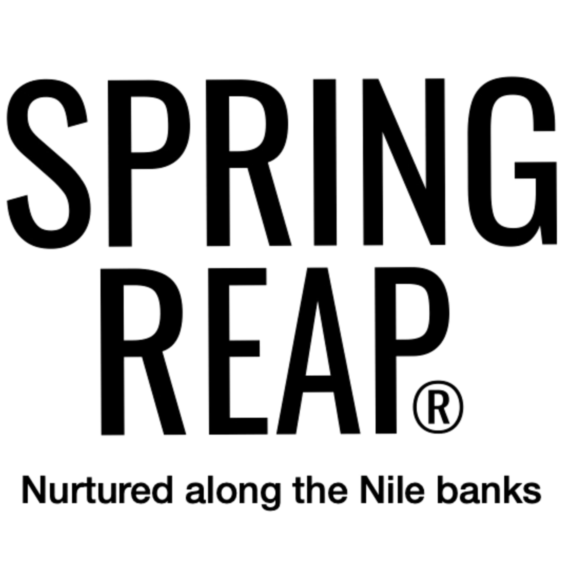 Springreap logo
